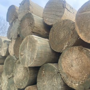 Treated Pine - Posts